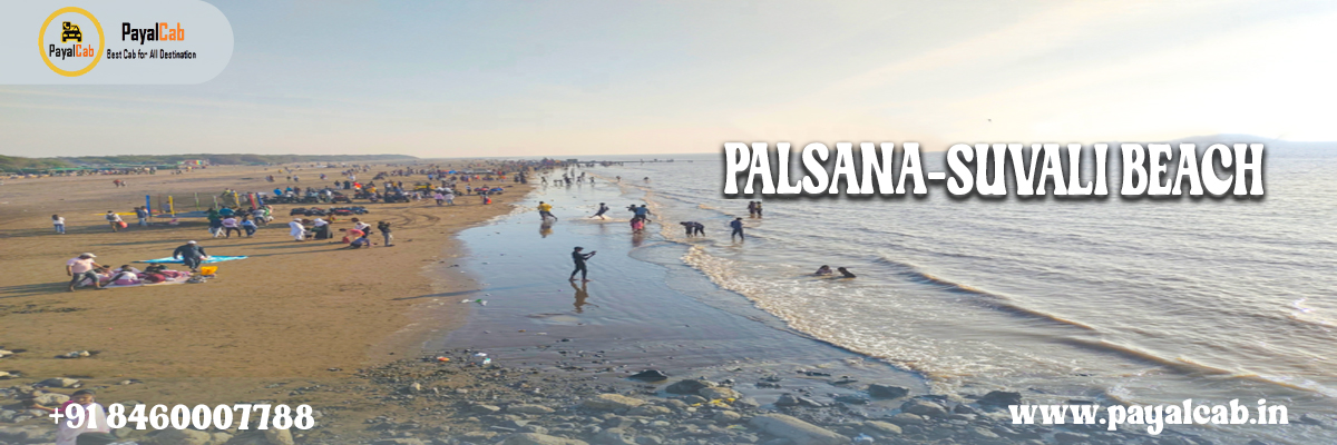 palsana